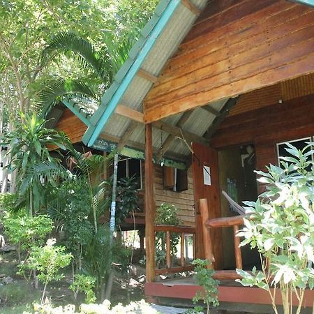 ホテルCoconut Beach Bungalows パンガン島 エクステリア 写真